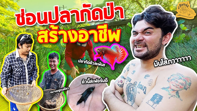 เซียนหรั่ง วิถีชีวิตแบบมะลายยายอยาก l ตอน ปลากัด สร้างอาชีพ